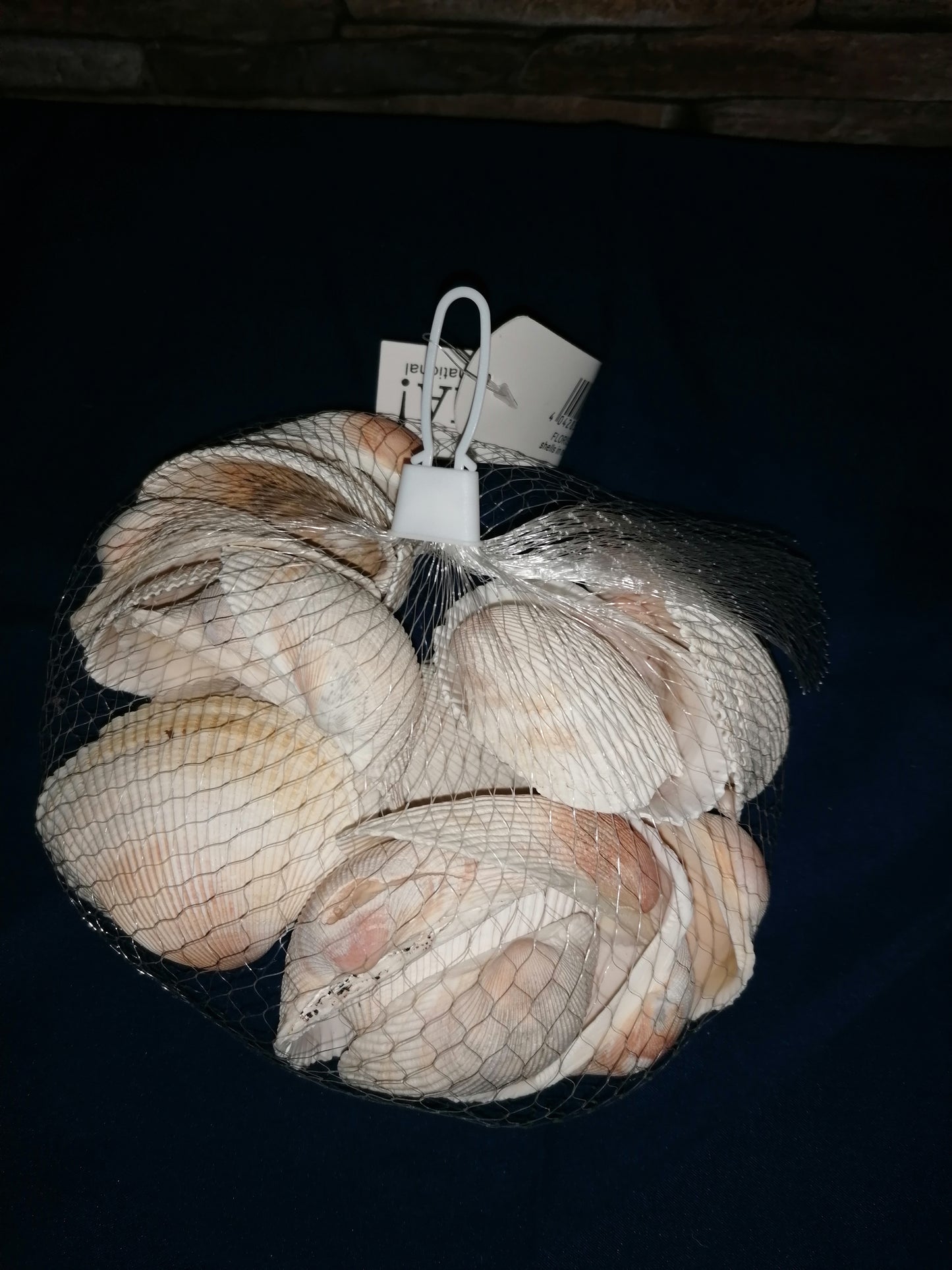 Große Deko-Muscheln/Maritim/ überall einsetzbar 274g