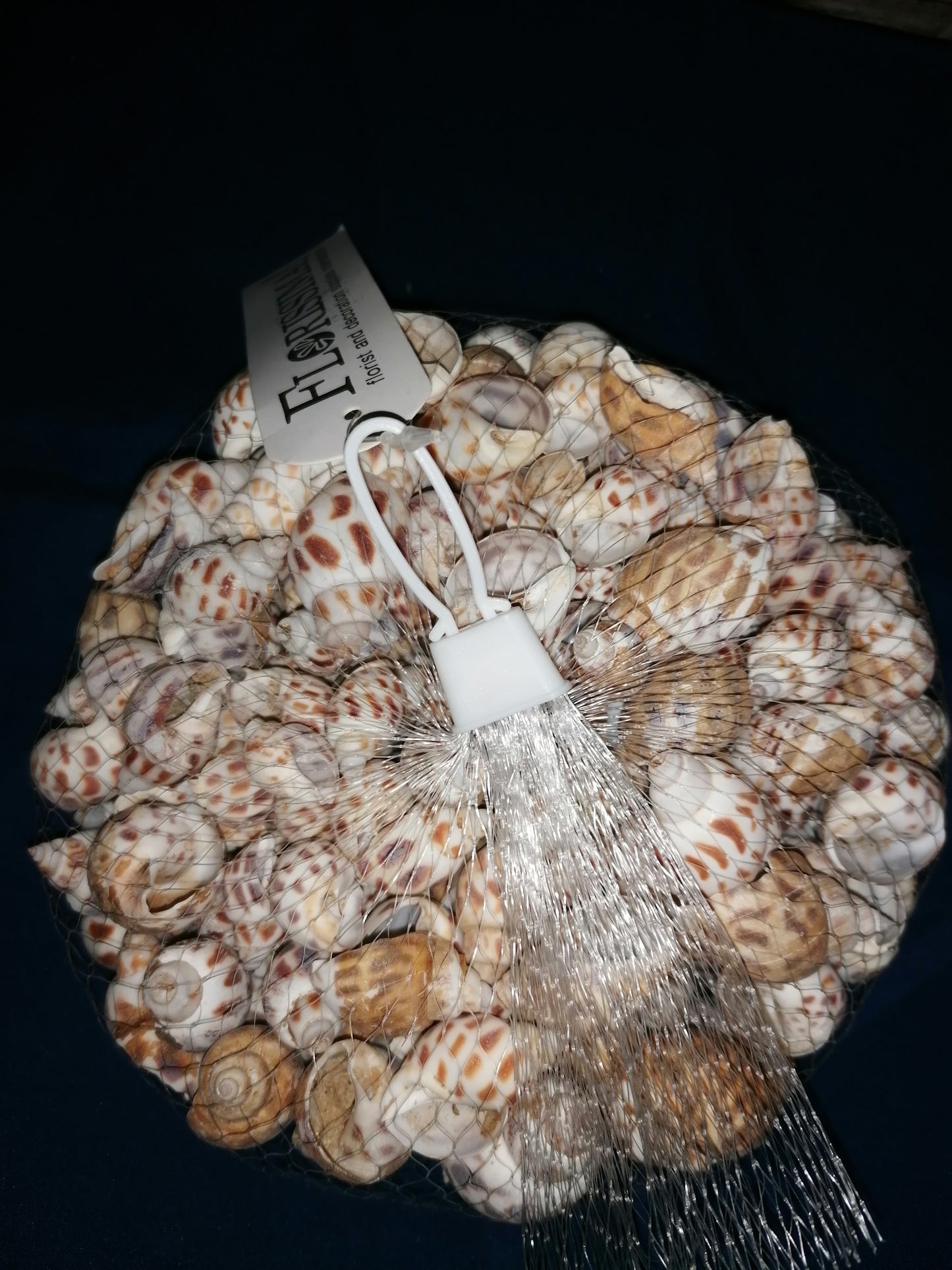 Natürliche Muschel-Ornament, Miniatur-Meeresmuschel, Tischdekoration, Badezimmer, Maritim 300g