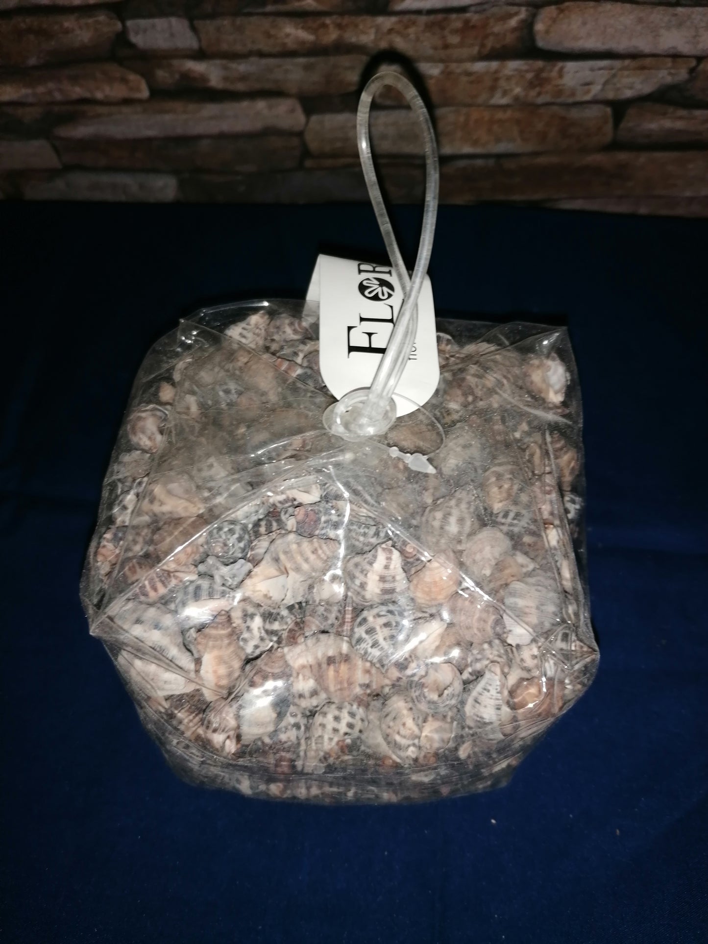 Deko-Muscheln/Maritim/ Tischdekoration/Bastelmaterialien/ Dekoration 509g